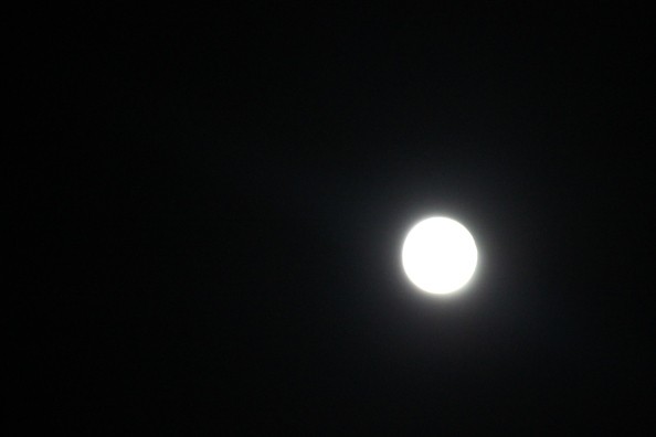 The full Flower Moon made a quick appearance around 12:50 a.m. EST...and I got the proof!